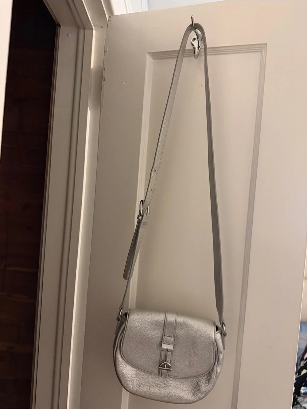 Talbots Silver Leather Crossbody Shoulder Bag